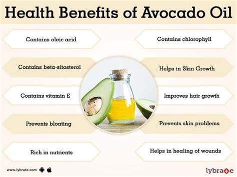 avocado oil benefits for humans.